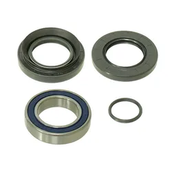 Bronco Rear Wheel Bearing Kit