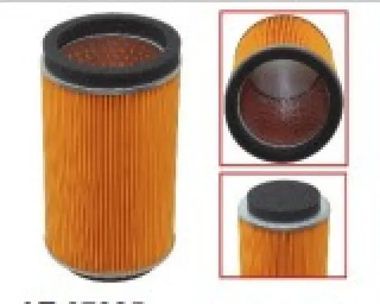Bronco Air Filter