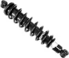 Bronco Rear Shock Gas Filled Spring Absorber