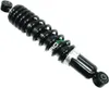 Bronco Rear Shock Gas Filled Spring Absorber