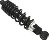 Bronco Rear Shock Gas Filled Spring Absorber