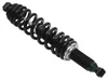 Bronco Rear Shock Gas Filled Spring Absorber