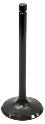 Bronco Exhaust Valve 2