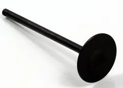 Bronco Steel Intake Valve