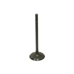 Bronco Steel Intake Valve