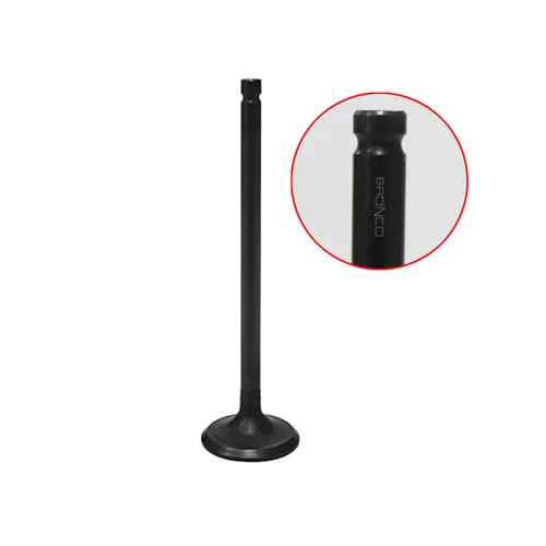 Bronco Exhaust Valve 1