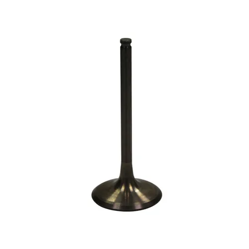 Bronco Steel Intake Valve