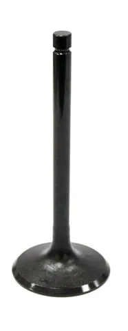 Bronco Exhaust Valve