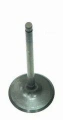 Bronco Steel Intake Valve