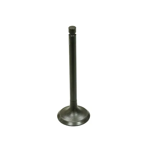 Bronco Exhaust Valve