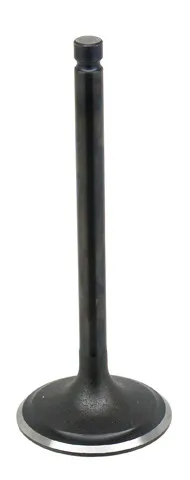 Bronco Steel Intake Valve