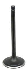 Bronco Steel Intake Valve