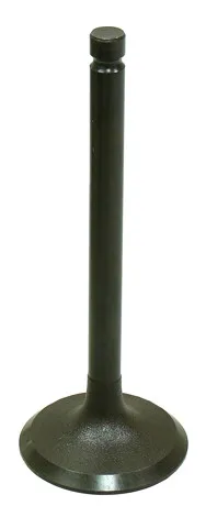Bronco Steel Intake Valve