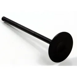 Bronco Exhaust Valve