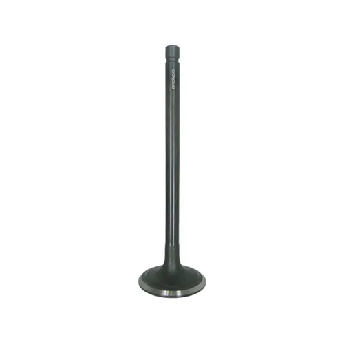 Bronco Steel Intake Valve