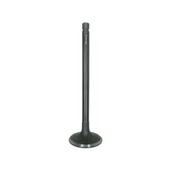 Bronco Steel Intake Valve