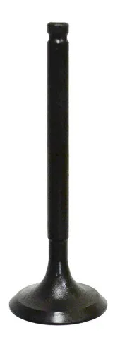 Bronco Steel Intake Valve