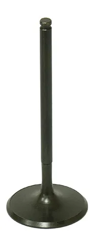 Bronco Steel Intake Valve