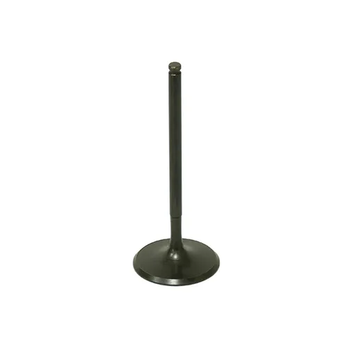 Bronco Steel Intake Valve