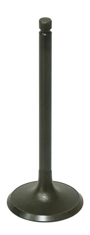 Bronco Steel Intake Valve