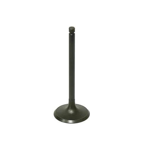 Bronco Steel Intake Valve
