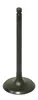 Bronco Steel Intake Valve