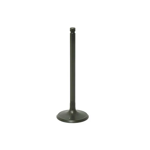 Bronco Steel Intake Valve