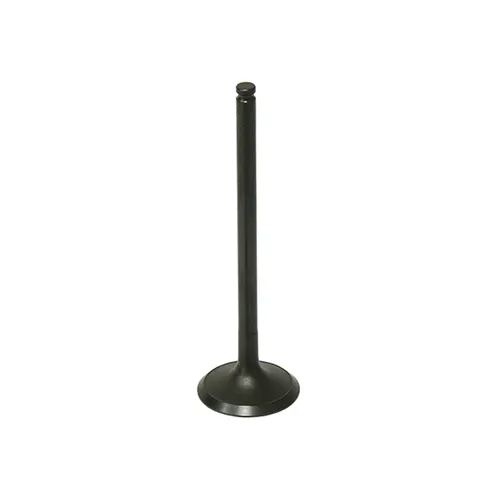 Bronco Exhaust Valve