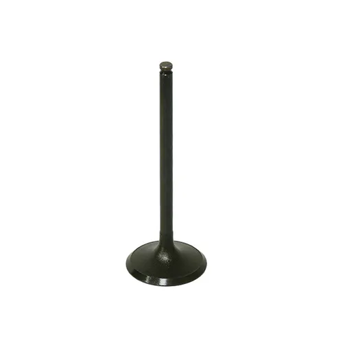 Bronco Steel Intake Valve
