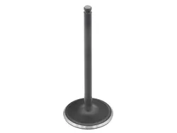 Bronco Steel Intake Valve
