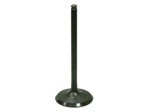 Bronco Steel Intake Valve