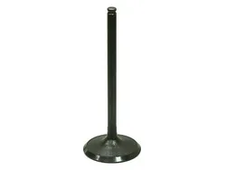 Bronco Steel Intake Valve