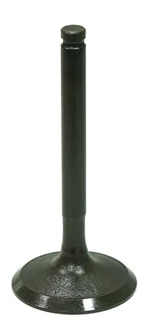 Bronco Steel Intake Valve