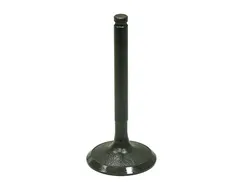 Bronco Steel Intake Valve