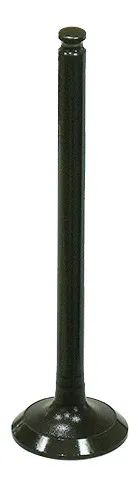 Bronco Exhaust Valve