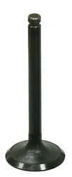 Bronco Steel Intake Valve