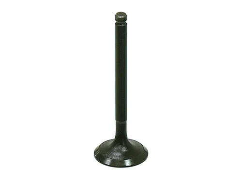 Bronco Steel Intake Valve