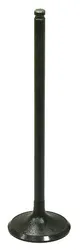 Bronco Steel Intake Valve