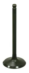 Bronco Steel Intake Valve