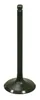 Bronco Steel Intake Valve