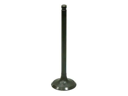 Bronco Steel Intake Valve 1