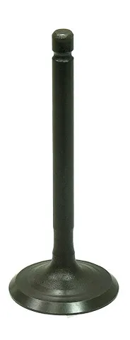 Bronco Steel Intake Valve