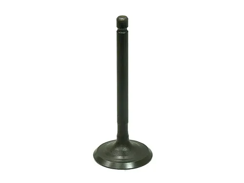 Bronco Steel Intake Valve