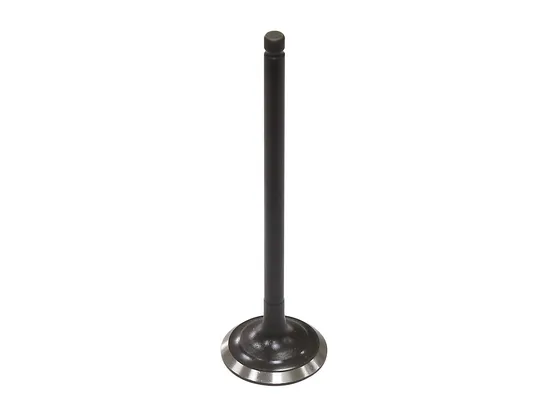Bronco Exhaust Valve 1