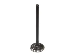 Bronco Exhaust Valve