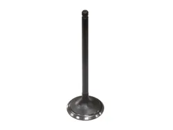 Bronco Steel Intake Valve