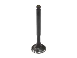Bronco Steel Intake Valve