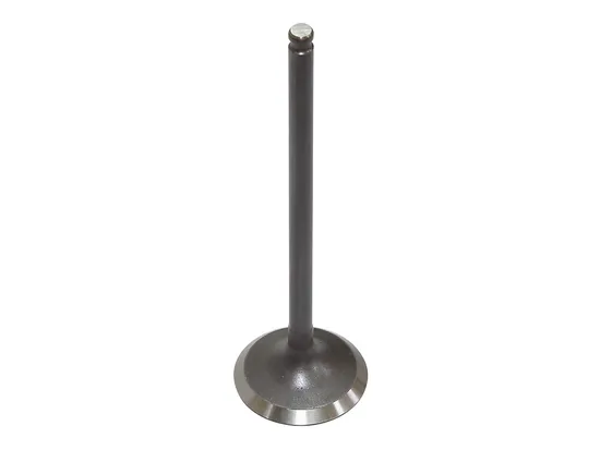 Bronco Exhaust Valve 1