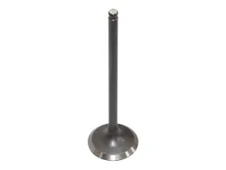 Bronco Exhaust Valve