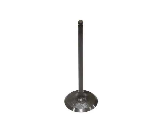 Bronco Steel Intake Valve